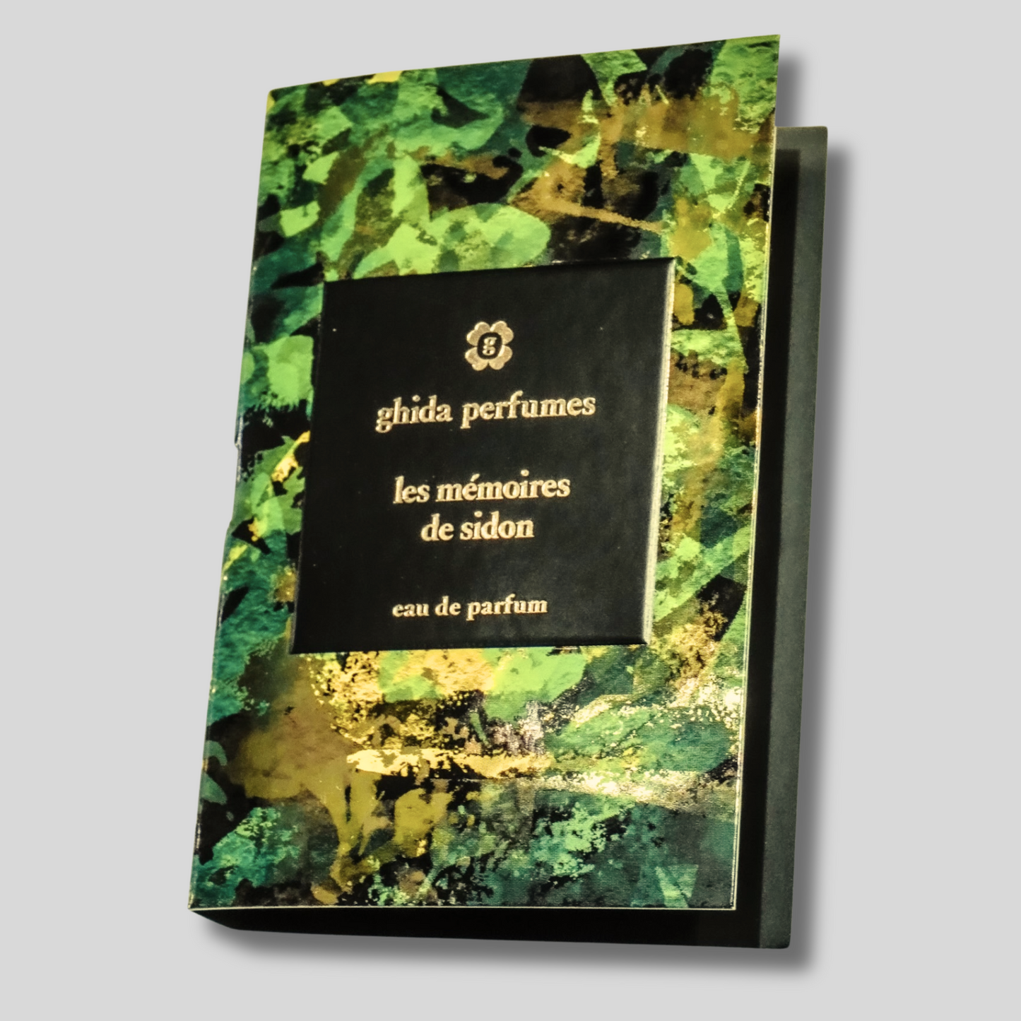 Les Mémoires de Sidon (sample)